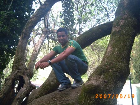 faical
