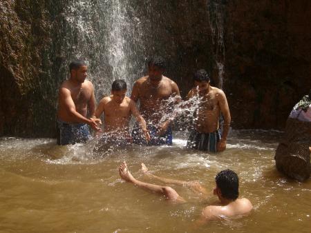 faical